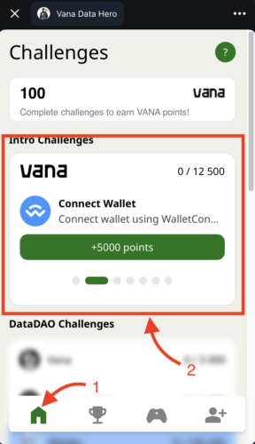 Vana Data Hero complete into challenges